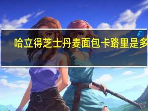 哈立得 芝士丹麦面包卡路里是多少