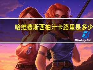 哈维费斯 西柚汁卡路里是多少