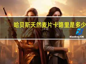 哈贝斯 天然麦片卡路里是多少