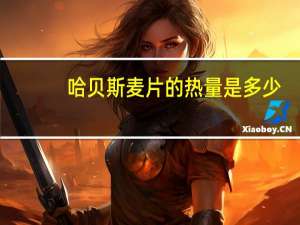 哈贝斯 麦片的热量是多少
