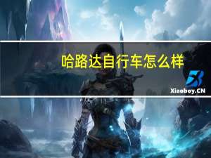 哈路达自行车怎么样