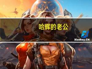 哈辉的老公（哈辉的前任丈夫）