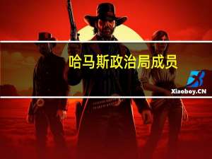 哈马斯政治局成员：对任何调解或对话持开放态度