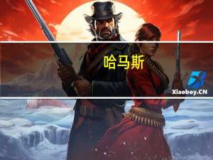 哈马斯：对美国“加入战斗”始料未及
