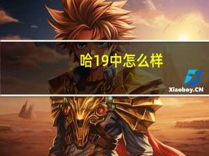 哈19中怎么样