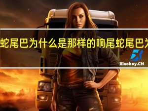 响尾蛇尾巴为什么是那样的 响尾蛇尾巴为什么会响