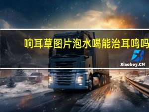响耳草图片泡水喝能治耳鸣吗（响耳草图片）