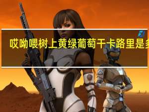 哎呦喂 树上黄绿葡萄干卡路里是多少