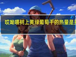 哎呦喂 树上黄绿葡萄干的热量是多少