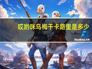哎哟咪 乌梅干卡路里是多少