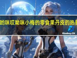 哎哟咪 哎呦咪 小梅的零食果丹皮的热量是多少