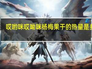 哎哟咪 哎呦咪 杨梅果干的热量是多少