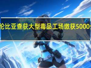 哥伦比亚查获大型毒品工场缴获5000公斤毒品