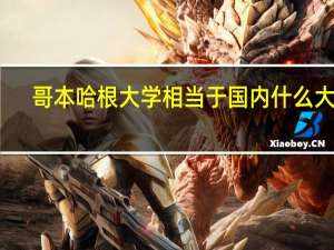 哥本哈根大学相当于国内什么大学