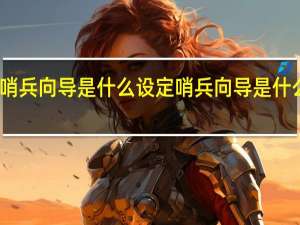 哨兵向导是什么设定 哨兵向导是什么意思
