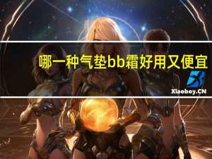 哪一种气垫bb霜好用又便宜