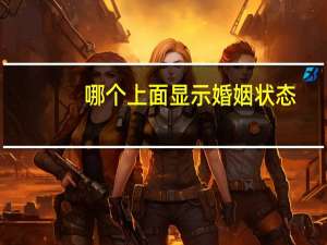 哪个上面显示婚姻状态