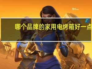 哪个品牌的家用电烤箱好一点