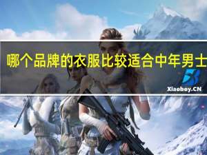 哪个品牌的衣服比较适合中年男士穿着