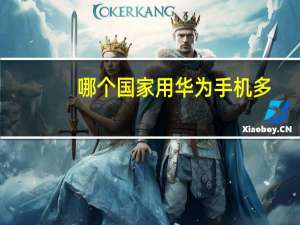 哪个国家用华为手机多
