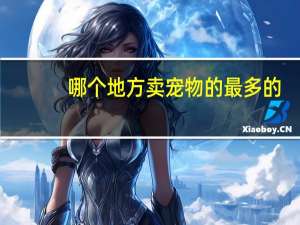 哪个地方卖宠物的最多的