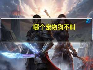哪个宠物狗不叫