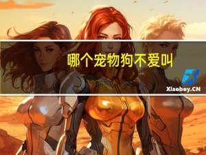 哪个宠物狗不爱叫