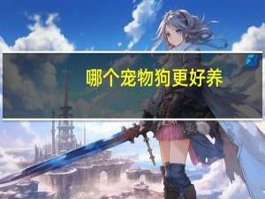 哪个宠物狗更好养