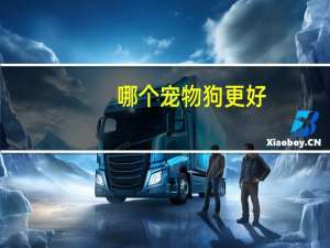 哪个宠物狗更好