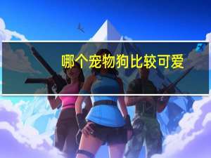 哪个宠物狗比较可爱