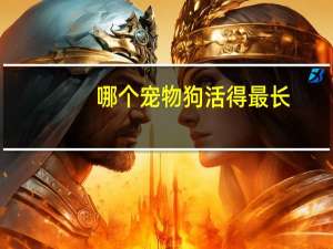 哪个宠物狗活得最长
