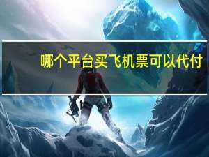 哪个平台买飞机票可以代付