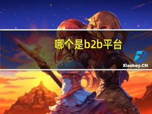 哪个是b2b平台