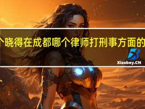 哪个晓得在成都哪个律师打刑事方面的官司厉害