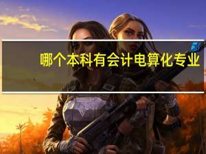 哪个本科有会计电算化专业