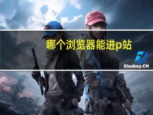哪个浏览器能进p站（哪个浏览器不屏蔽p站）