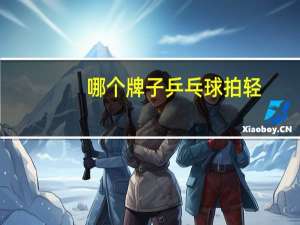 哪个牌子乒乓球拍轻