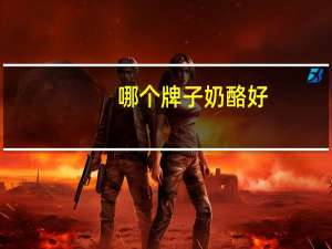 哪个牌子奶酪好