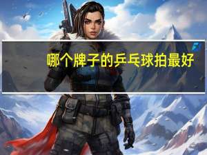 哪个牌子的乒乓球拍最好