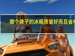 哪个牌子的冰箱质量好而且省电（冰箱什么牌子好又省电质量又好,什么牌子冰箱质量好又省电排名）