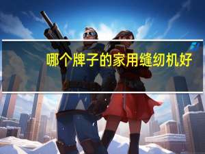 哪个牌子的家用缝纫机好
