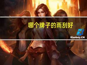 哪个牌子的雨刮好