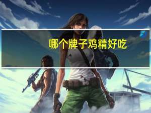 哪个牌子鸡精好吃