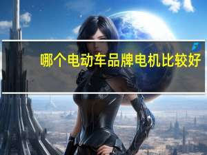 哪个电动车品牌电机比较好