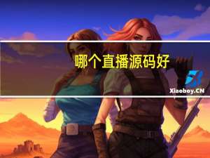 哪个直播源码好