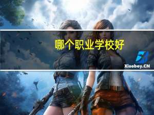 哪个职业学校好