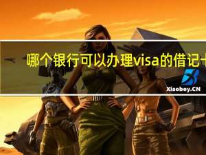 哪个银行可以办理visa的借记卡