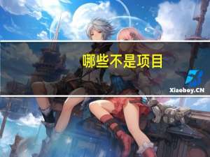 哪些不是项目