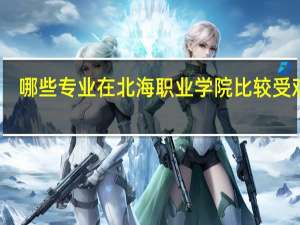 哪些专业在北海职业学院比较受欢迎