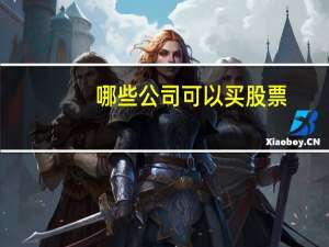 哪些公司可以买股票